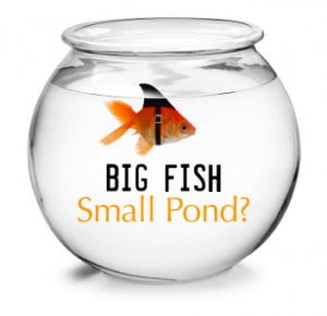 big-fish-small-pond-debate
