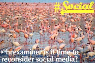 HRExaminer v1.18 for May 26, 2010 Social Media Reconsidered| Feature
