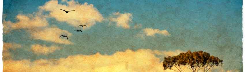 HRExaminer v1.23 for July 9, 2010