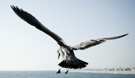 HRExaminer v1.23 for July 9, 2010 | Revisiting why they hate HR, Part II