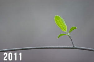 2011-The-Year-Ahead-HR-Examiner