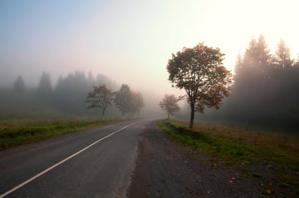 Looking back to see the big picture in HR Looking back to see the big picture in HR