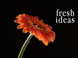 fresh ideas and innovation in HR