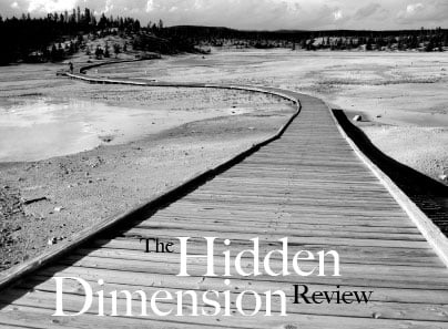 The Hidden Dimension by Edward T Hall Review HR Examiner