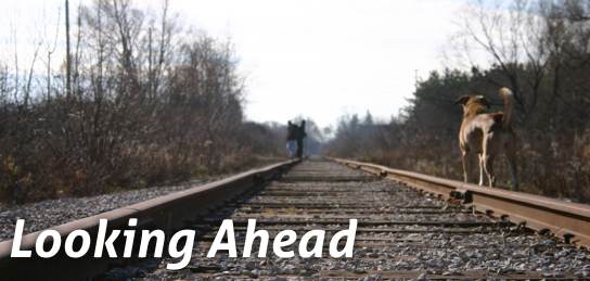 Looking Ahead 2012 Forecast ~ HRExaminer Weekly Edition v.249 December 22, 2011