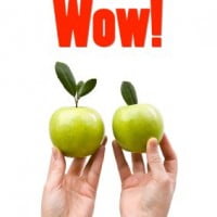 acquisition spree sap successfactors job2web on HR Examiner