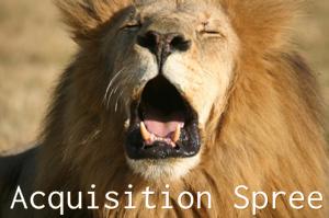 acquisition-spree-success-factors