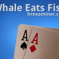 whale-eats-fish-hr-examiner