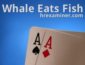 whale-eats-fish-hr-examiner