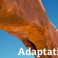 adaptation in the HR workforce