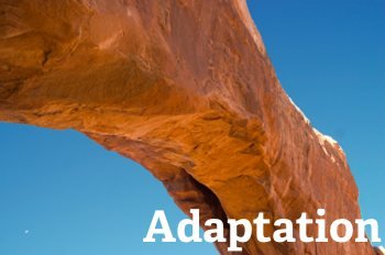 adaptation-hr-work-force adaptation in the HR workforce
