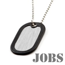 Helping Veterans Make The Transition to Civilian Jobs