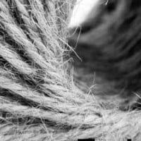 re-engineering hr: five threads in technology