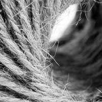 picture of yarn representing threads of technology in HR