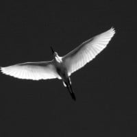 How to get through a hard day Heather Bussing HRExaminer.com January 8, 2014