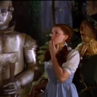 Social Media, Fear & Lawyers image of wizard of oz from youtube video
