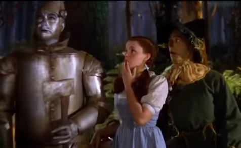 Social Media, Fear & Lawyers image of wizard of oz from youtube video
