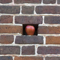 photo of apple in sea of bricks to signify job board niche