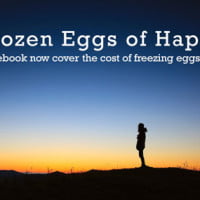 picture of woman looking out over vista in HRExaminer.com weekly edition v5.36 for October 31, 2014