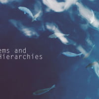 photo of fish in water representing fish in ecosystem of ocean hrexaminer.com john susmer january 26 2016