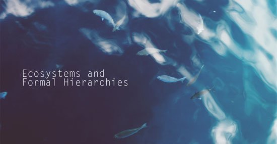 photo of fish in water representing fish in ecosystem of ocean hrexaminer.com john susmer january 26 2016