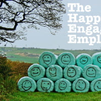 photo of field and tree with text ** The Happily Engaged Employee ** HRExaminer.com v6.05 for February 6, 2015