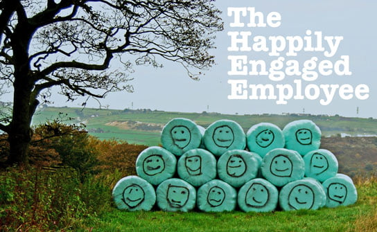 photo of field and tree with text ** The Happily Engaged Employee ** HRExaminer.com v6.05 for February 6, 2015