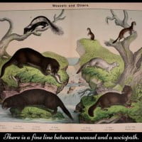 image from book Natural history of the animal kingdom for the use of young people by Kirby, W. F. (William Forsell), 1889, illustration depicting weasels and other animals used on HRExaminer.com article by Heather Bussing April 27, 2015 titled Weasels and Sociopaths