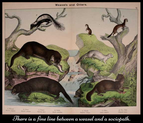 image from book Natural history of the animal kingdom for the use of young people by Kirby, W. F. (William Forsell), 1889, illustration depicting weasels and other animals used on HRExaminer.com article by Heather Bussing April 27, 2015 titled Weasels and Sociopaths