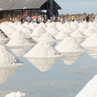 salt field production 200px square crop on HRExaminer.com article by John Sumser published May 26, 2015