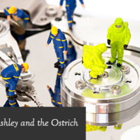 feature image on HRExaminer v6.32 for August 28, 2015 about Ashley Madison