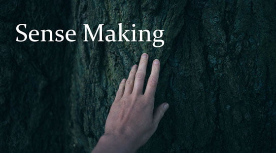 photo of hand touching tree in HRExaminer.com article by John Sumser: Sense Making photo by Igor Trepeshchenok