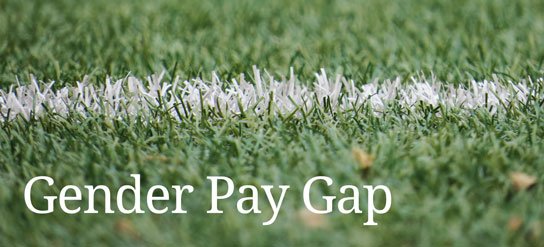 photo of grass sports field boundary line