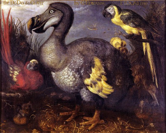 2017-07-07 HRExaminer feature img v827 will hr go way of the dodo bird photo img edwards dodo bird by roelant savery 1620 544x437px.jpg
