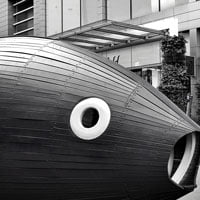 2017-12-21-hrexaminer-photo-img-cc0-big-whale-swallows-smaller-fish-via-pexels-photo-432197-by-juhasz-imre-sq-200px.jpg