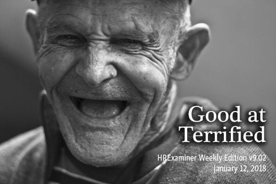 2018-01-12-hrexaminer-weekly-ed-v902-good-at-terrified-photo-img-cc0-via-pexels-156731-544x363px.jpg