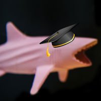 2018-07-23-hrexaminer-photo-img-cc0-via-pexels-your-recruiting-process-assumes-harvard-grads-cause-shark-attacks-bob-corlett-abstract-acrylic-art-1122399-full-sq-200px.jpg