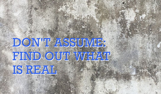 2018-08-16-hrexaminer-dont-assume-find-out-what-is-real-susan-lamotte-photo-img-cc0-via-unsplash-by-becca-lavin-567475-544x316px.jpg