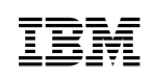 IBM logo
