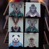 2020-08 05 HR Examiner article Heather Bussing Whats that got to do with Koala Bears stock photo img cc0 by ozgu ozden IZMx56m2pUI unsplash text sq 200px.jpg