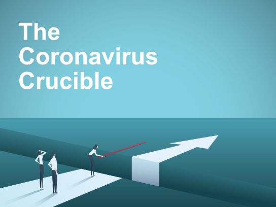 2020-09 01 HR Examiner article Mary Faulkner The Coronavirus Crucible AdobeStock 258905684 544x408px-new.png