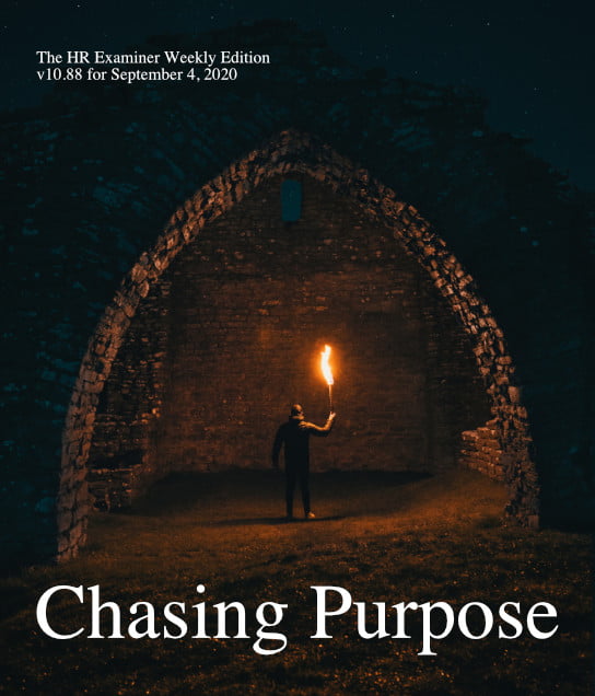 2020-09-04 HR Examiner Weekly Ed v1088 Chasing Purpose stock photo img cc0 by linus sandvide 5DIFvVwe6wk unsplash crop 544x636px.jpg