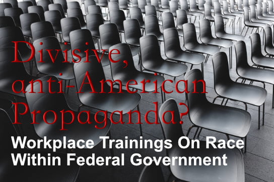2020-09 11 HR Examiner weekly ed v1089 Workplace Trainings On Race Within Federal Government stock photo img cc0 by jonas jacobsson 2xaF4TbjXT0 unsplash 544x363px.jpg