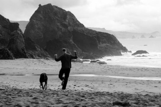 2020-11-04 HR Examiner photo img article from Heather Bussing about dealing with weasels at work and running away when needed 544x363px.jpg