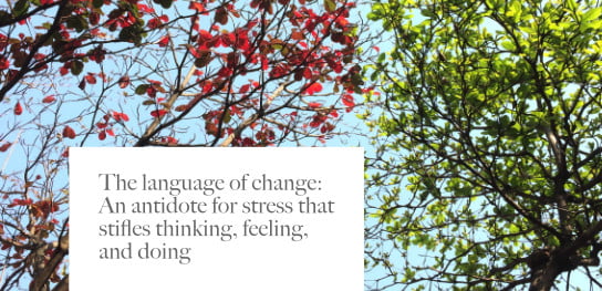 2021-01-21 HR Examiner article Doing Shaw Language of change for stress stock photo img cc0 via pexels le vy 668553 544x264px.jpg
