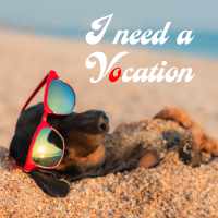 2021-02-12 HR Examiner Weekly Ed v1207 I Need a Vocation stock photo img cc0 by AdobeStock 212943077 ed 200px mQ.jpg